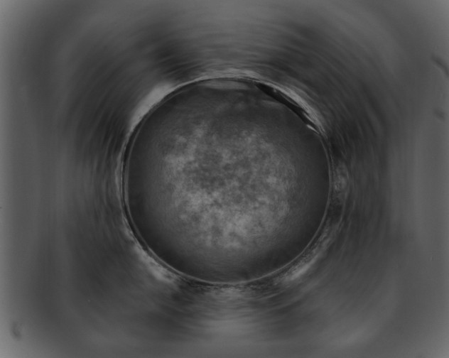 X0000093101054200710171156