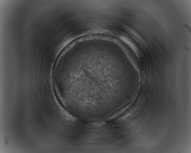 X0000093101055200710171156