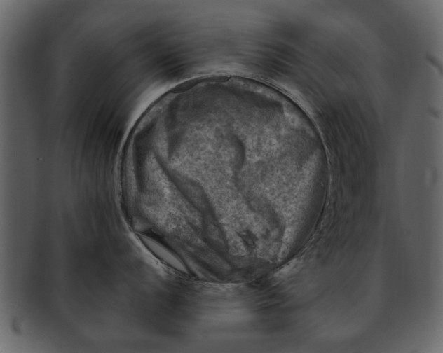 X0000093101056200710171156