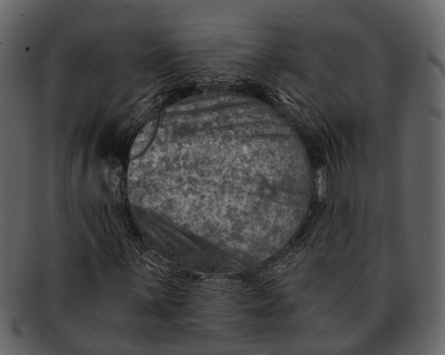 X0000093101059200710171155