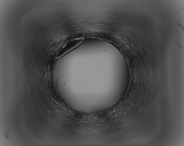 X0000093101061200710171155