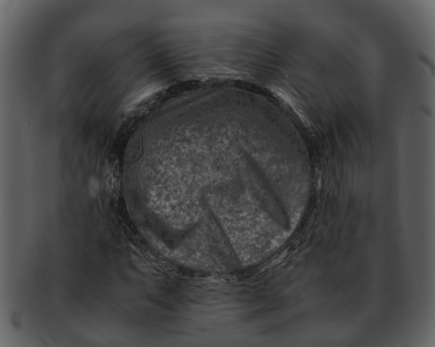 X0000093101063200710171155