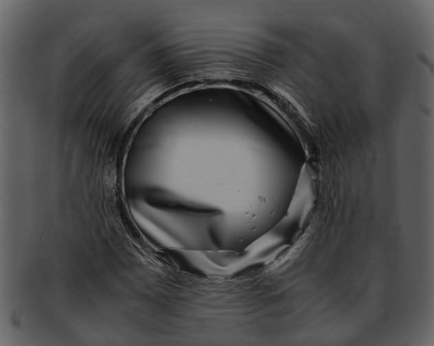 X0000093101065200710171155