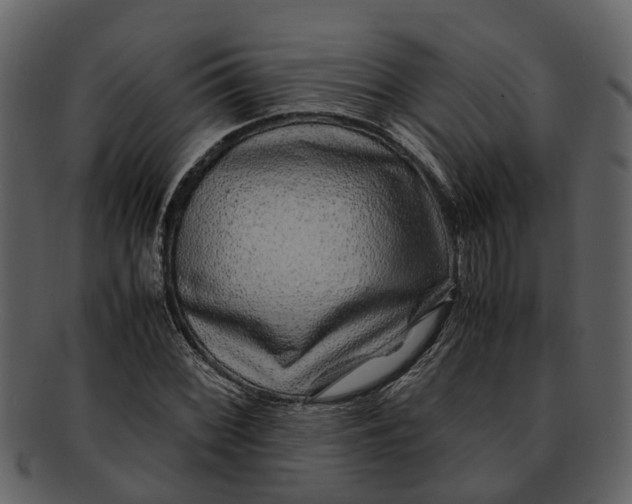 X0000093101068200710171155