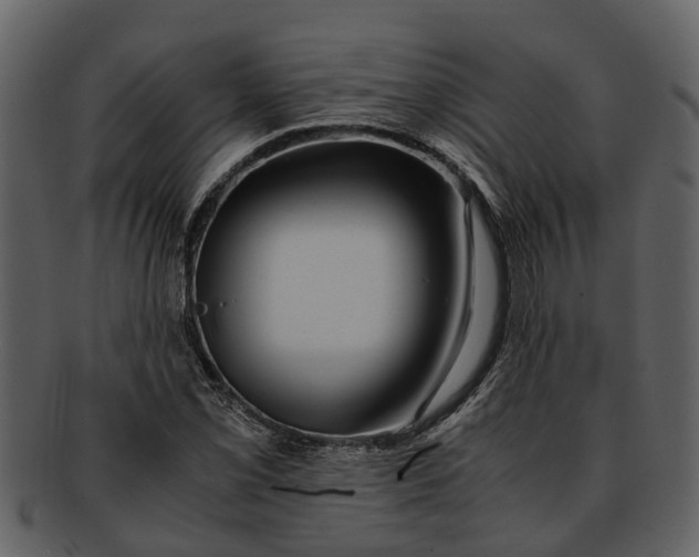 X0000093101069200710171155