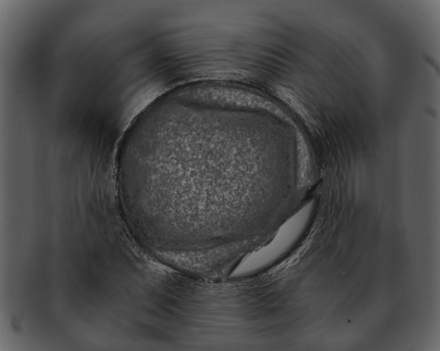 X0000093101071200710171155