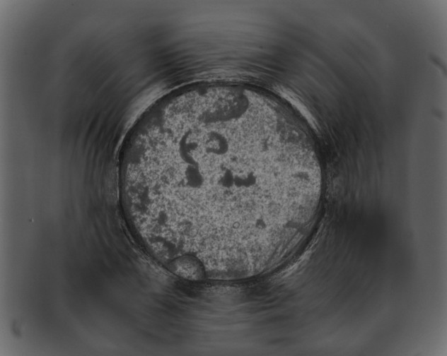 X0000093101075200710171155