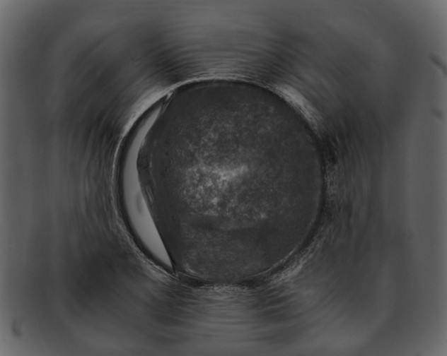 X0000093101077200710171155