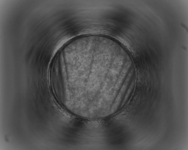 X0000093101078200710171155