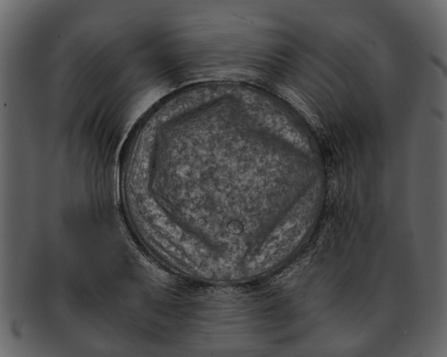 X0000093101079200710171155