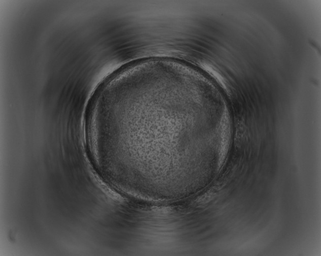 X0000093101080200710171155
