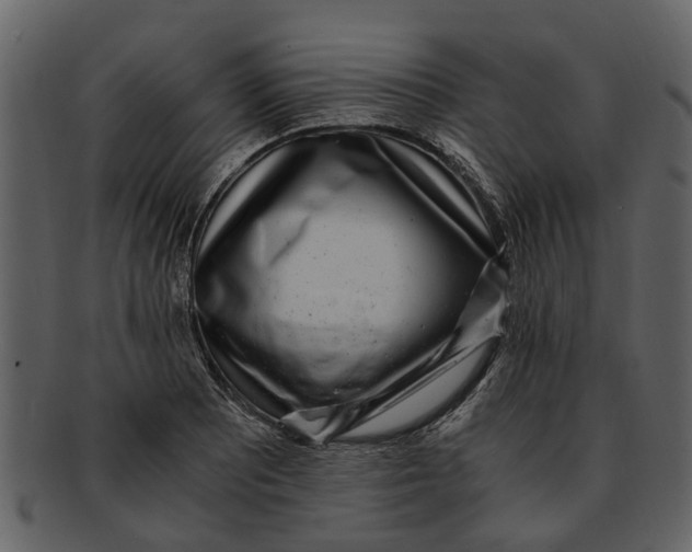 X0000093101081200710171155