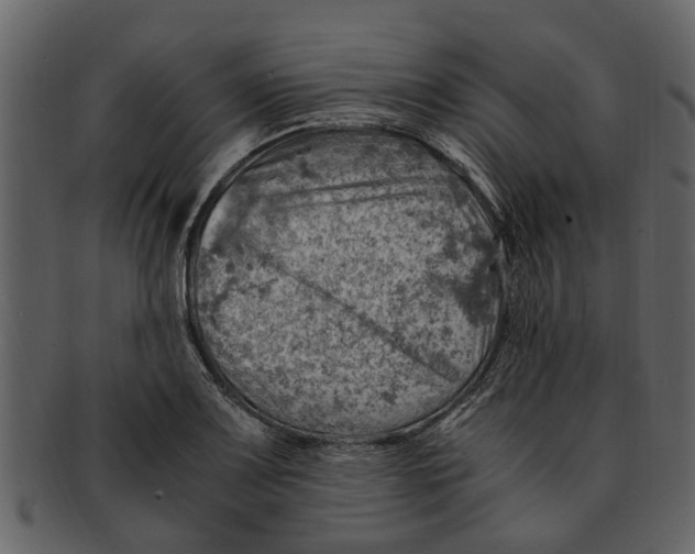 X0000093101083200710171155