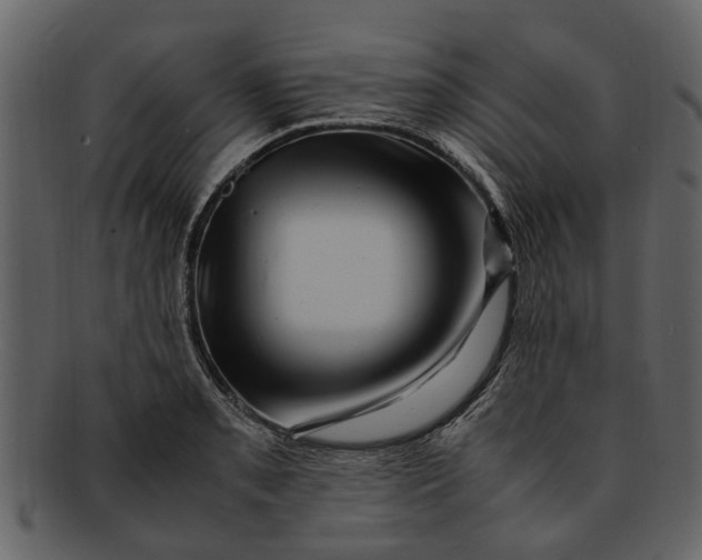 X0000093101085200710171155