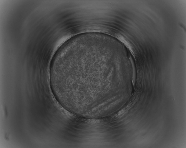 X0000093101088200710171155