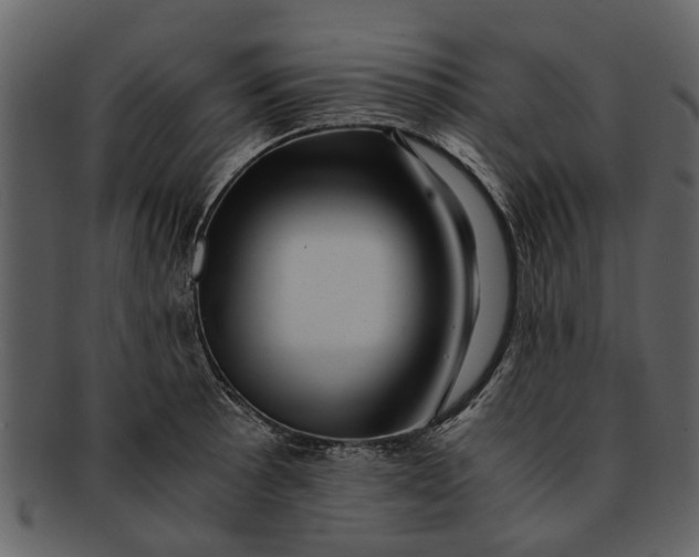 X0000093101089200710171155