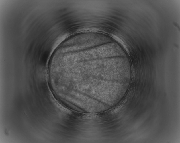 X0000093101090200710171155