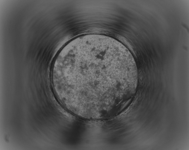 X0000093101091200710171155
