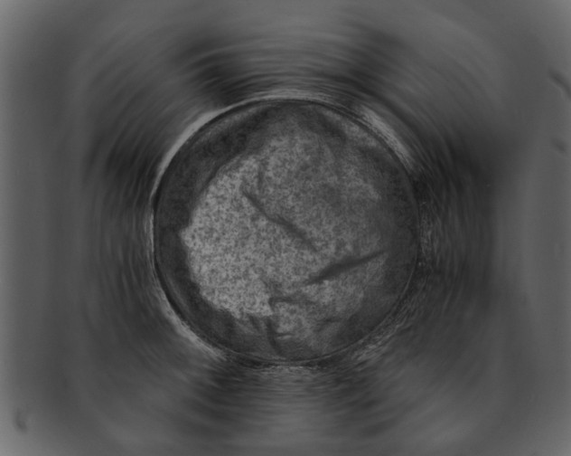 X0000093101092200710171155