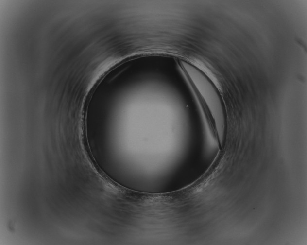 X0000093101093200710171155