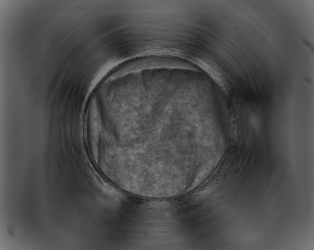 X0000093101094200710171155