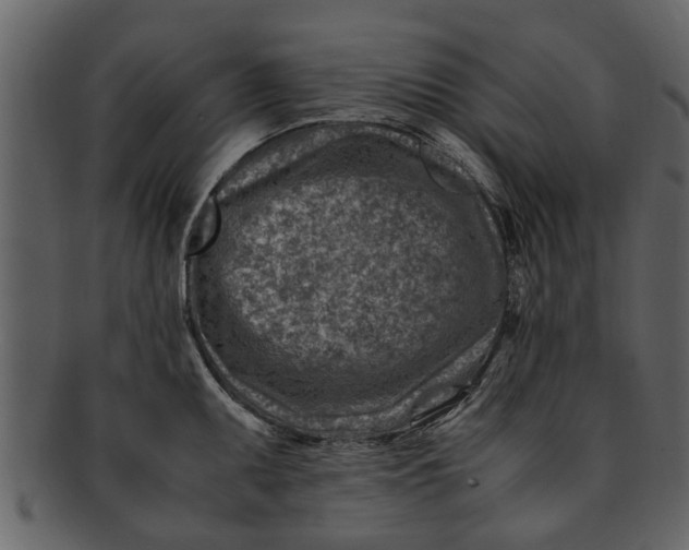 X0000093101095200710171155