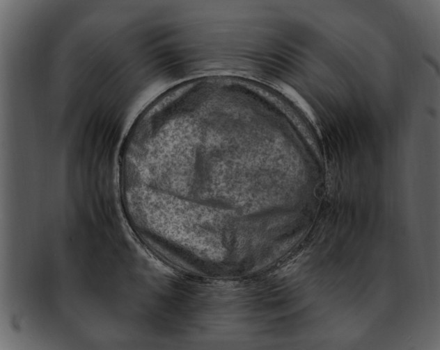 X0000093101096200710171155