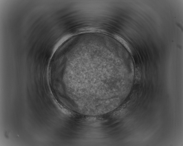 X0000093101098200710171155