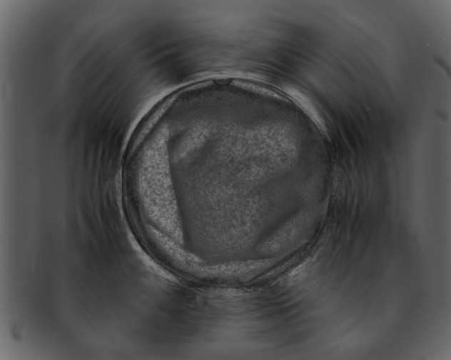 X0000093101100200710171155