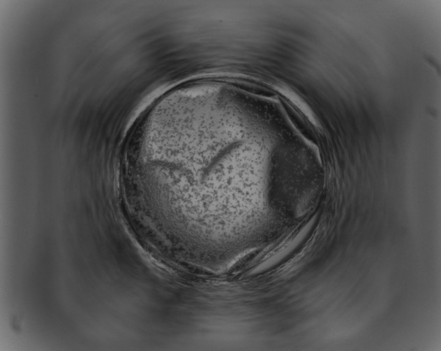 X0000093101101200710171155