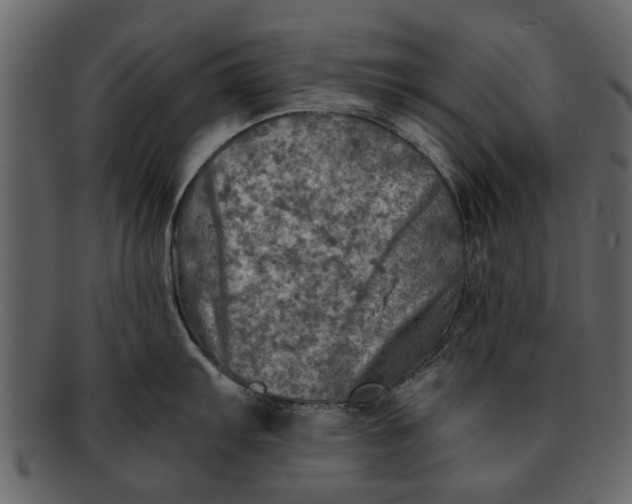 X0000093101103200710171155