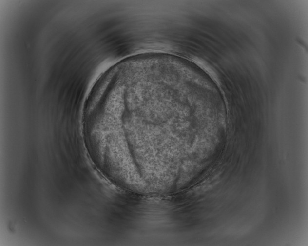 X0000093101104200710171155