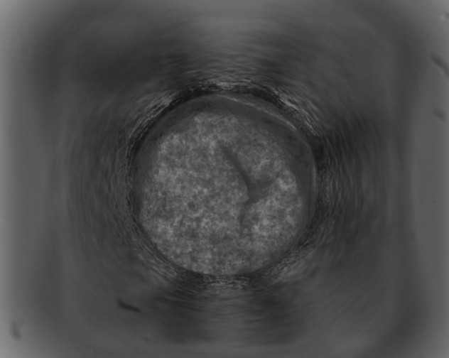X0000093101105200710171154