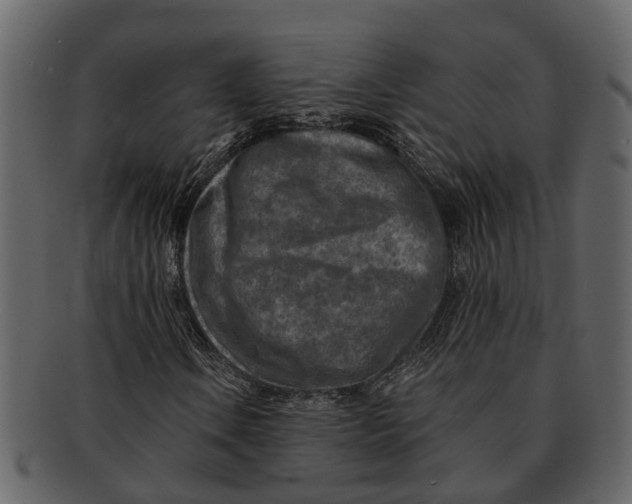 X0000093101106200710171154