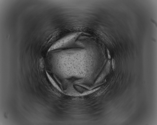 X0000093101107200710171154