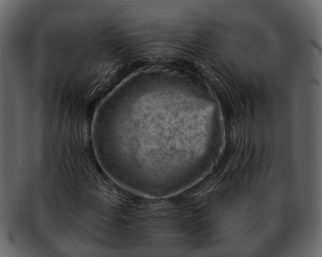 X0000093101108200710171154