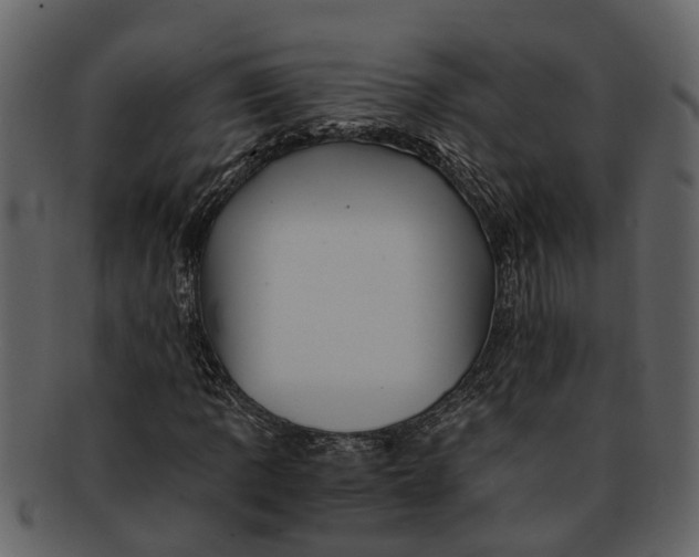 X0000093101109200710171154