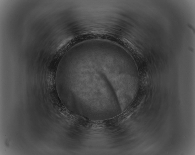 X0000093101110200710171154