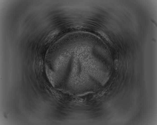 X0000093101111200710171154