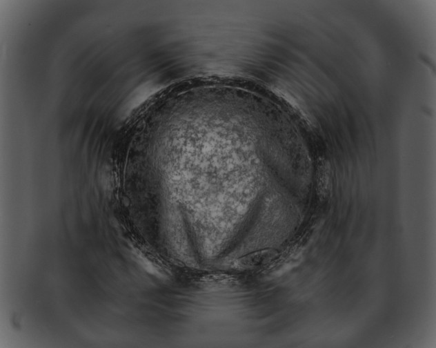 X0000093101112200710171154
