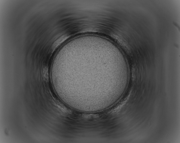 X0000093101113200710171154