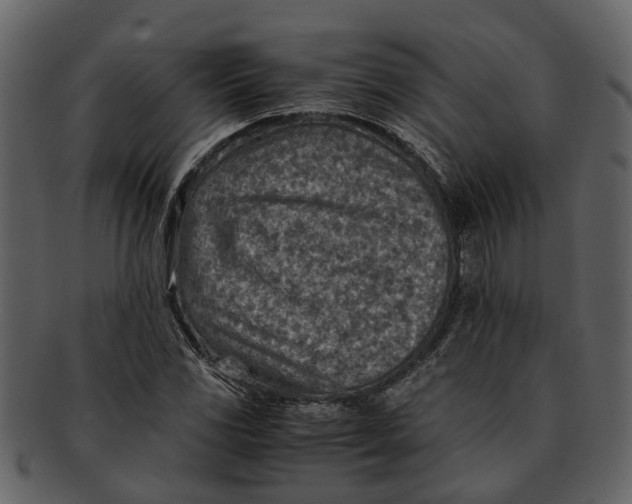 X0000093101117200710171154