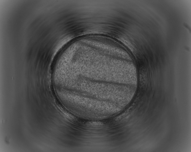 X0000093101119200710171154