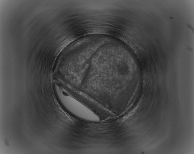 X0000093101121200710171154