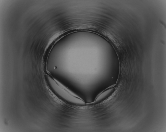 X0000093101122200710171154