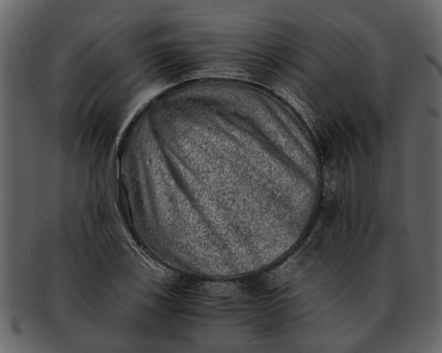 X0000093101123200710171154