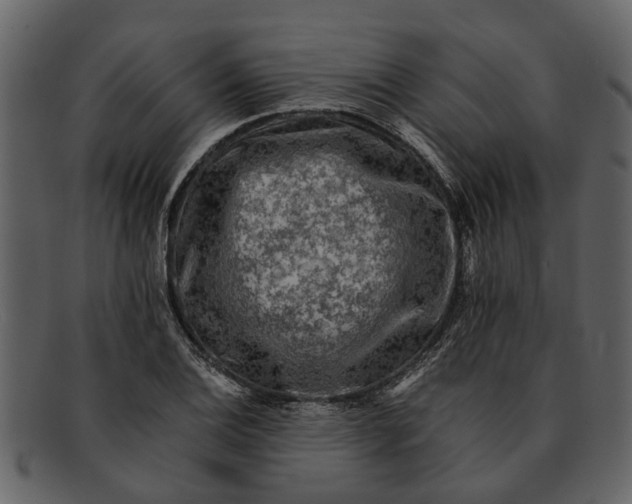 X0000093101124200710171154
