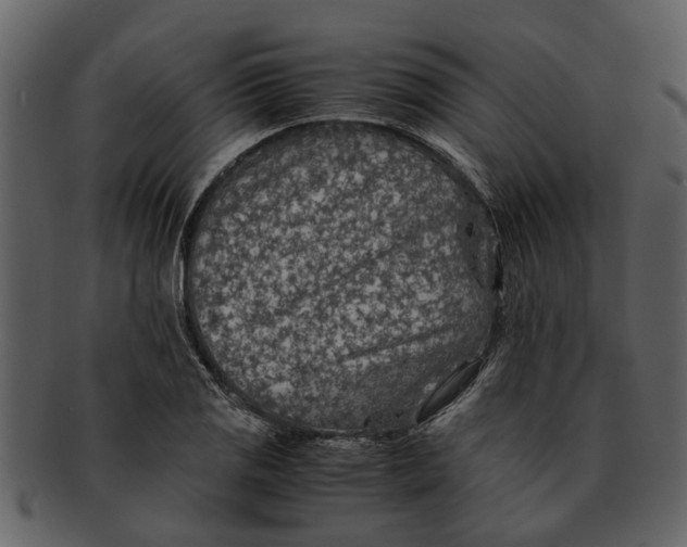 X0000093101125200710171154