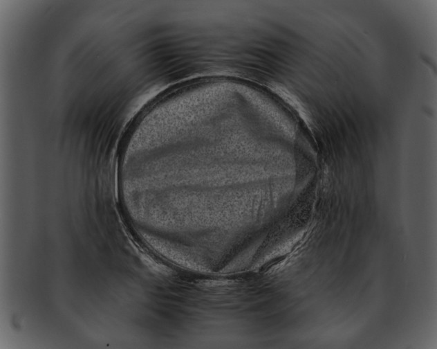 X0000093101127200710171154