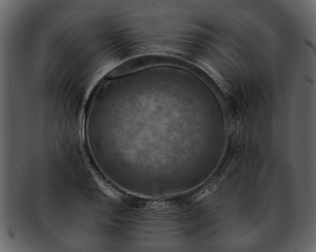 X0000093101128200710171154